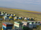 iulie 076