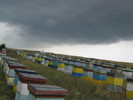 iulie 078