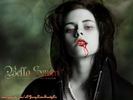 bellaswan