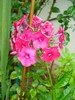 DSC07878