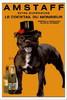 amstaff[1]