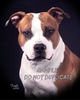 amstaff[2]