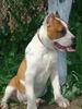 DSC01127[1]