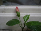 DSC04631
