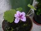 foto 084