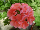 foto 091