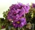 P1290041
