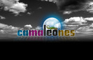 15 poze cu Cameleones