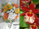 30 de poze cu flori