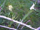 DSCF2007