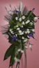 2010-01-24_093711