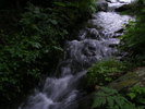 DSCF1411