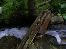 DSCF1429