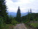 DSCF1443