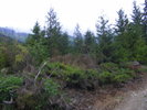 DSCF1444