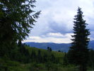 DSCF1446