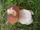 DSCF1449