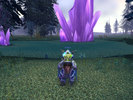 WoWScrnShot_061210_202823