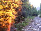 DSCF1474