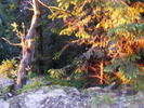 DSCF1476