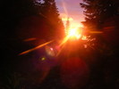 DSCF1479