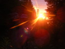 DSCF1480