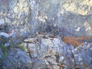 DSCF7608