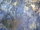 DSCF7609