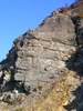 DSCF7613