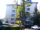 DSCF7647