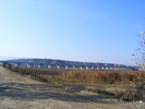 DSCF7654