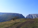 DSCF7661