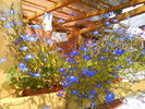 DSC00819