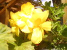 DSC00820