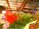 DSC00821