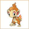 chimchar