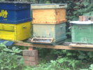 09072010287