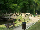 Parcul ROMANESCU 1-08-2010 031