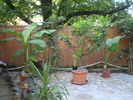 P1010131