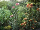P7300024