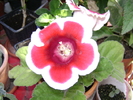 DSC04797