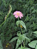 august 2010 016