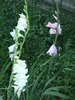 august 2010 020