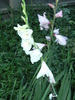 august 2010 021