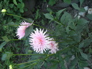 august 2010 032