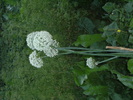 august 2010 034