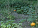 august 2010 040
