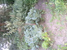 august 2010 041