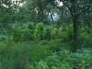 august 2010 042