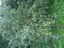 august 2010 046